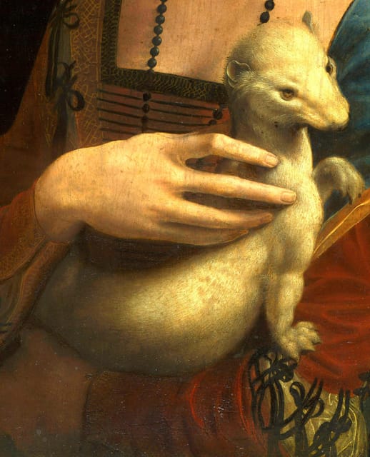 Krakow: Czartoryski Museum Guided Tour in English - Why the Czartoryski Collection Feels Like a Big Deal