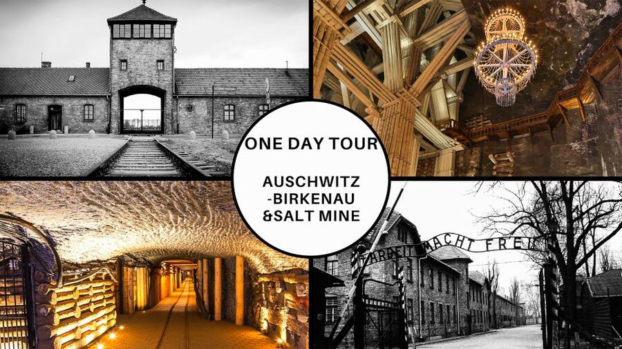 Krakow: Full-Day Auschwitz-Birkenau & Salt Mine Guided Tour - From Krakow to Auschwitz-Birkenau: early timing and emotional preparation