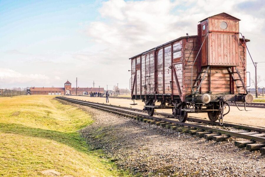 Krakow: Full-Day Auschwitz-Birkenau & Salt Mine Guided Tour - Wieliczka Salt Mine: underground art, lakes, and 800 steps