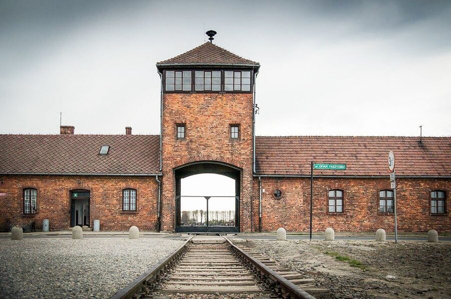 Krakow: Full-Day Auschwitz-Birkenau & Salt Mine Guided Tour - Who should book this Auschwitz-Birkenau and Wieliczka tour