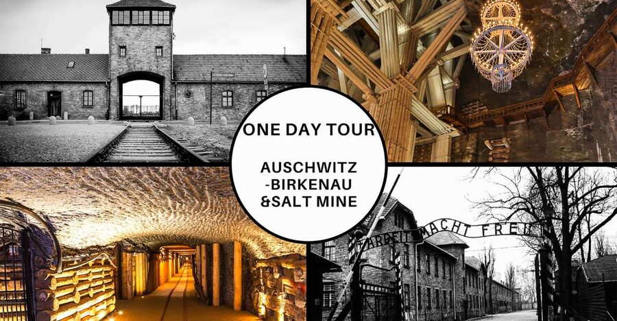 Krakow: Full-Day Auschwitz-Birkenau & Salt Mine Guided Tour - Price and what you actually get for $118