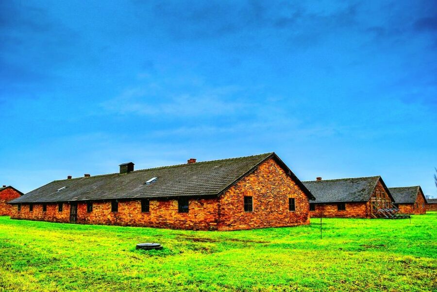 Krakow: Guided Auschwitz Birkenau Tour - Key Things to Know Before You Go