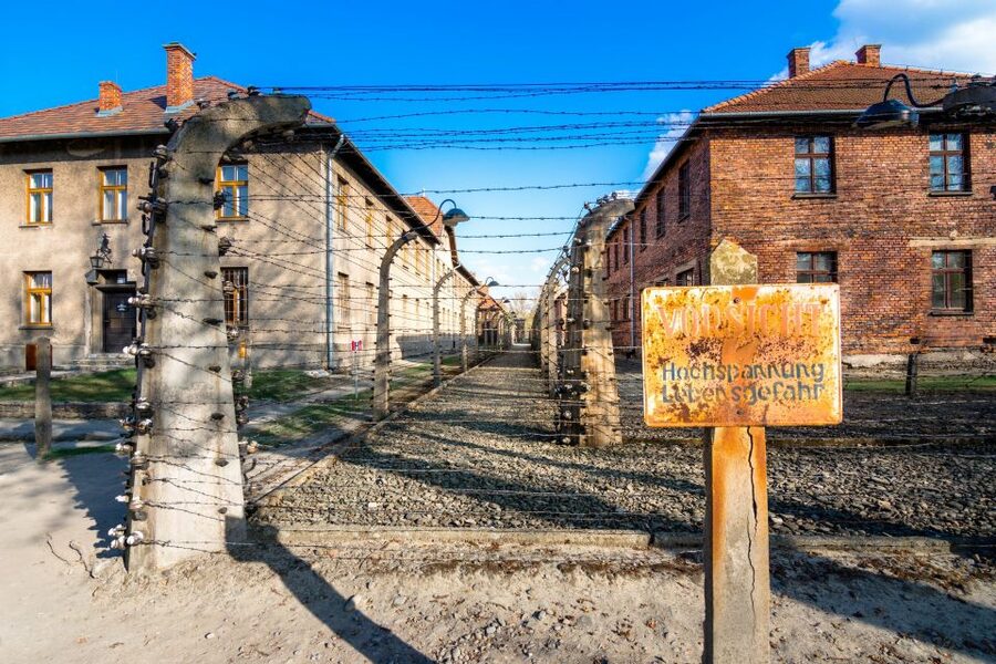 Krakow: Guided Auschwitz Birkenau Tour - Price and Value at About $69
