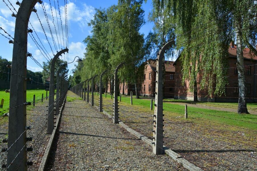 Krakow: Guided Auschwitz Birkenau Tour - Skip-the-Line Tickets: Helpful, Not Magic