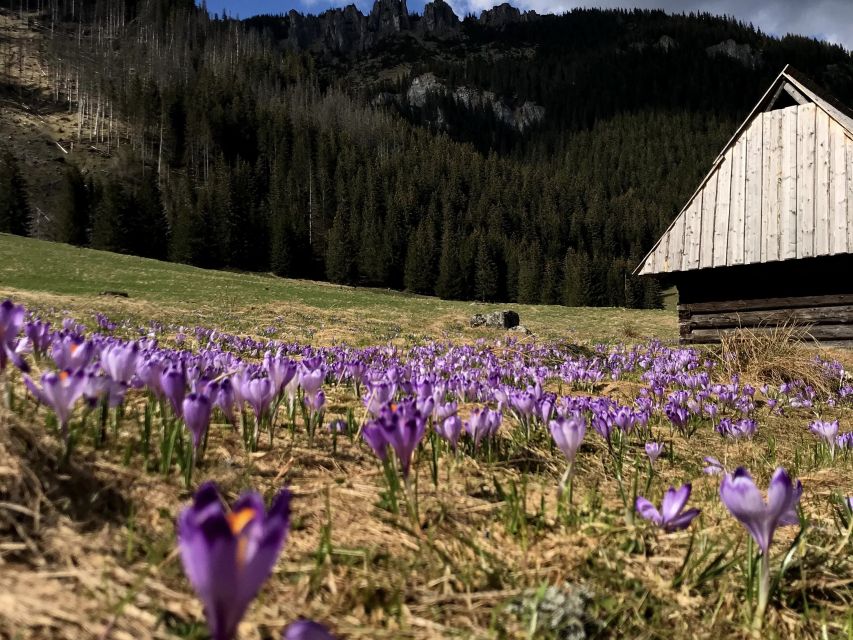 Krakow: Hiking Adventure in Tatra Mountains & Thermal Baths - What to Pack for a Smooth Day in the Tatra Heat and Cold