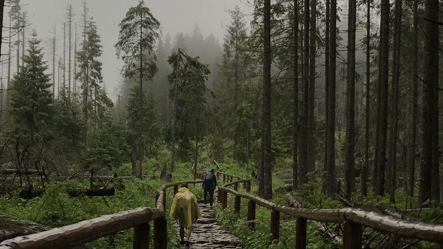 Krakow: Hiking Adventure in Tatra Mountains & Thermal Baths - Pickup, the Van Ride, and How You Set Up for the Hike