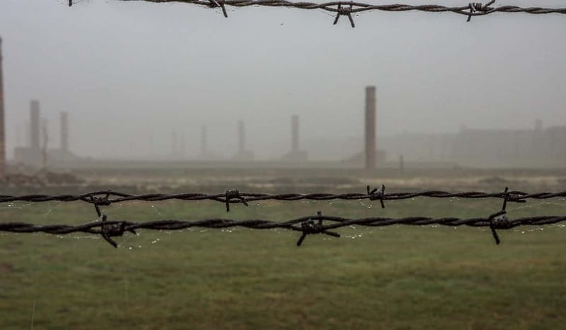 Krakow: Last Minute Auschwitz-Birkenau Guided Tour - The short coach hop to Birkenau and what changes in the experience