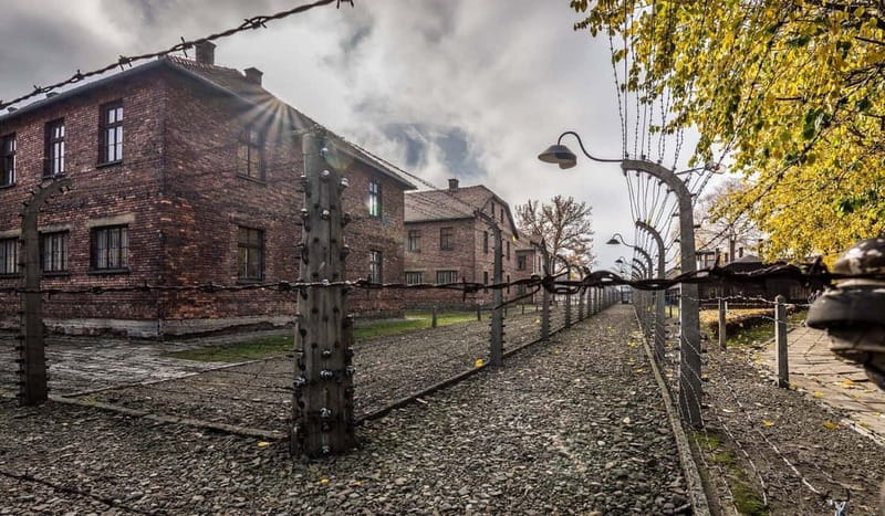 Krakow: Last Minute Auschwitz-Birkenau Guided Tour - Licensed guide and language options: getting the meaning, not just the facts
