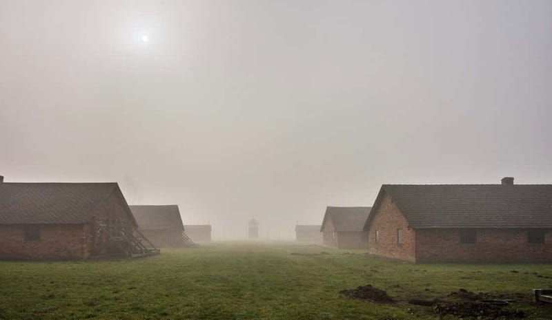 Krakow: Last Minute Auschwitz-Birkenau Guided Tour - Price and value: what $80 includes and where you should budget extra