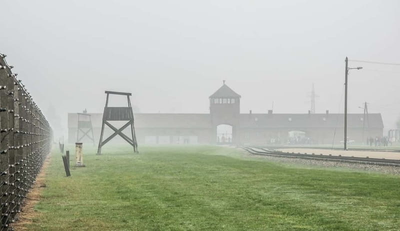 Krakow: Last Minute Auschwitz-Birkenau Guided Tour - Practical tips that make the day smoother