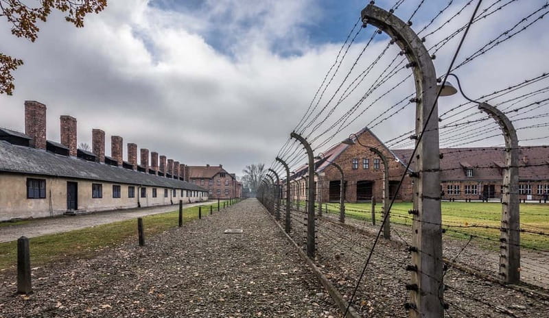 Krakow: Last Minute Auschwitz-Birkenau Guided Tour - Should you book the Auschwitz-Birkenau guided tour from Krakow?
