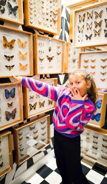 Krakow: Museum of Living Butterflies 2+1 - Life cycle and anatomy lessons, the facts that stick