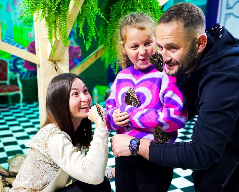Krakow: Museum of Living Butterflies 2+1 - The worldwide butterfly collection, why it feels special in person