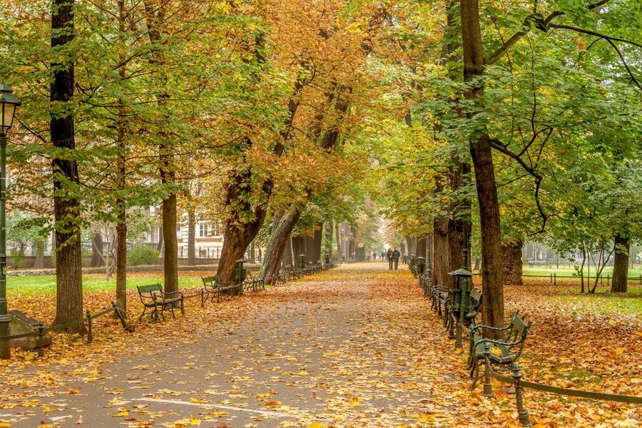 Krakow: Old Town Guided Walking Tour - What the Guide Really Adds, From Names to Real Stories