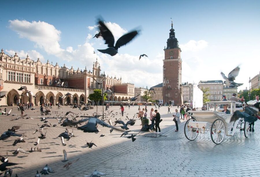 Krakow: Old Town Private Guided Walking Tour - Collegium Maius and Jagiellonian University: Poland’s oldest university in context
