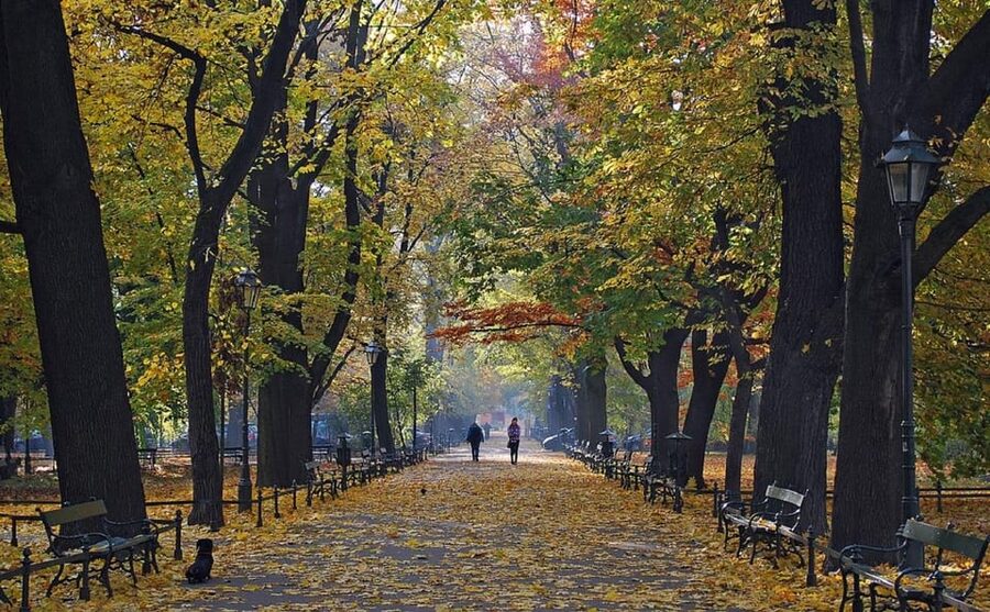 Krakow: Old Town "Royal Route" Walking Tour - Why the Royal Route walk in Krakow feels more meaningful