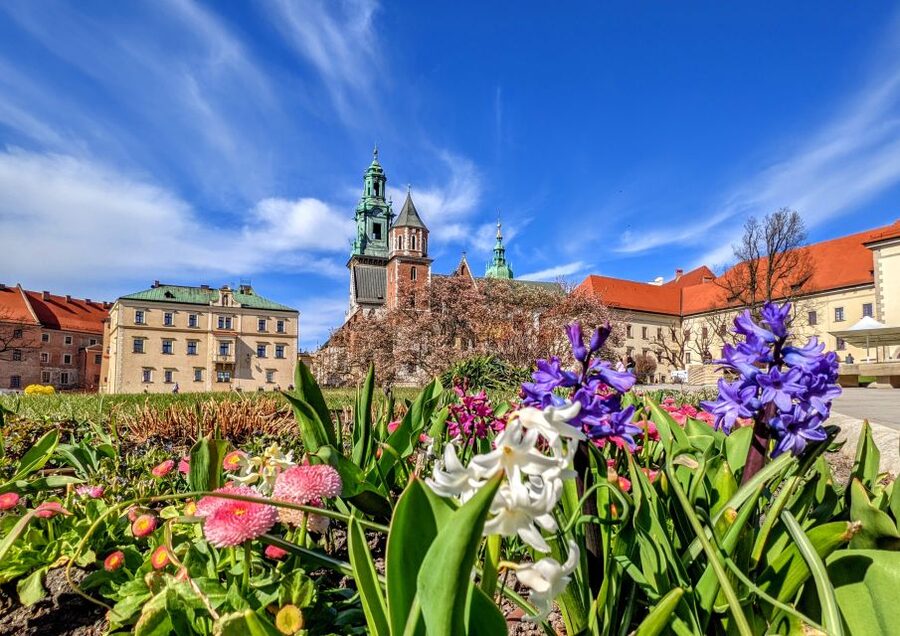 Kraków: Old Town & Wawel Castle Walking Tour in English - Main Market Square and Cloth Hall Life