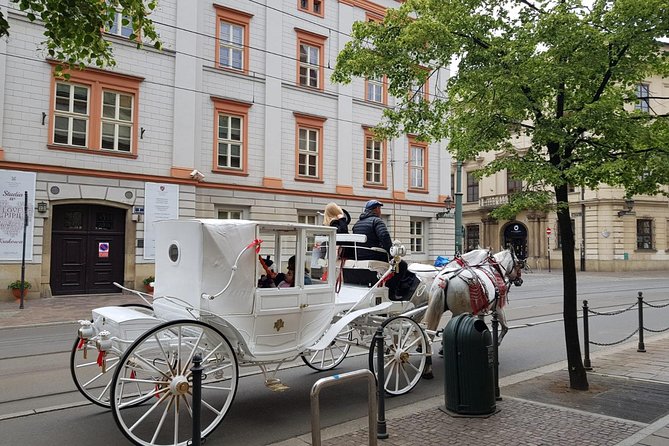 Krakow Private Walking Tour - Wawel Royal Castle courtyard and cathedral: the biggest stage, handled calmly