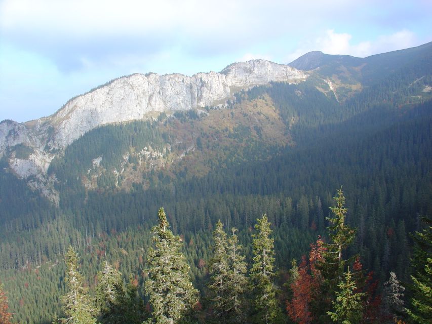 Krakow: Tatra Mountains and Zakopane Full-Day Private Tour - Chocholow Village: Wooden Houses And Folk Wood Art