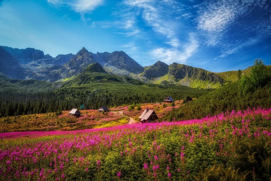 Krakow: Tatra Mountains and Zakopane Full-Day Private Tour - Krupowki Street: Where Zakopane Feels Like Real Town Life