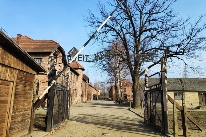 Krakow to Auschwitz Birkenau and Salt Mine 1 Day Tour - A one-day Auschwitz and Wieliczka combo that actually works