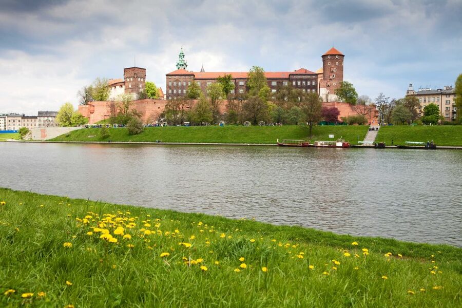 Krakow: Wawel Castle, Cathedral, Rynek Underground & Lunch - How the tour runs: group size, language, and what can change