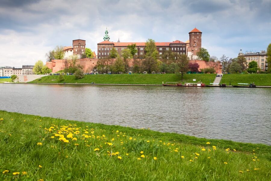 Krakow: Wawel Castle, Cathedral, Salt Mine, and Lunch - A full-day loop through Wawel and the salt mine