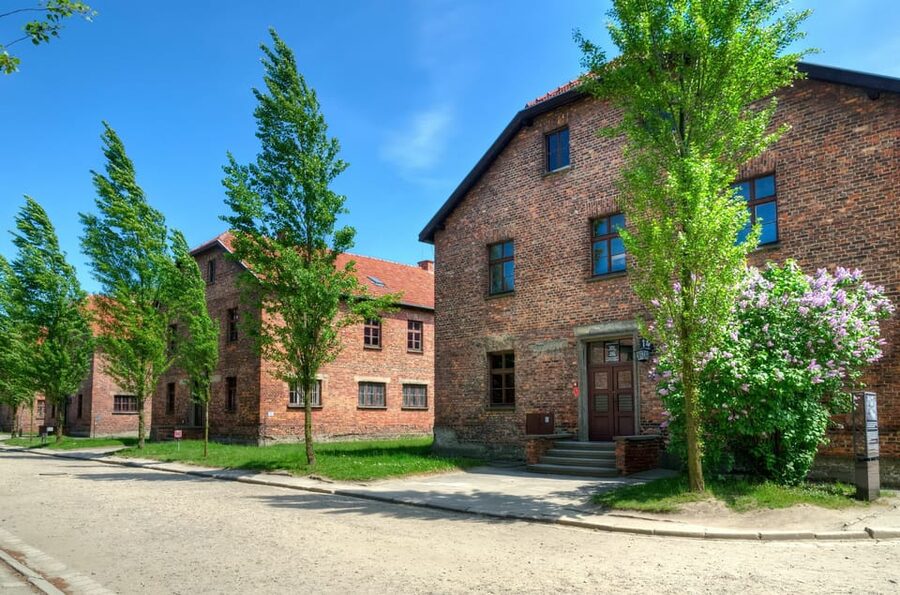 Krakow: Wieliczka Salt Mine and Auschwitz-Birkenau Tour - Key points before you go