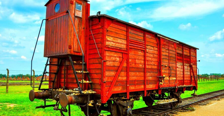 Krakow: Wieliczka Salt Mine and Auschwitz-Birkenau Tour - Auschwitz-Birkenau: what the guided visit helps you understand