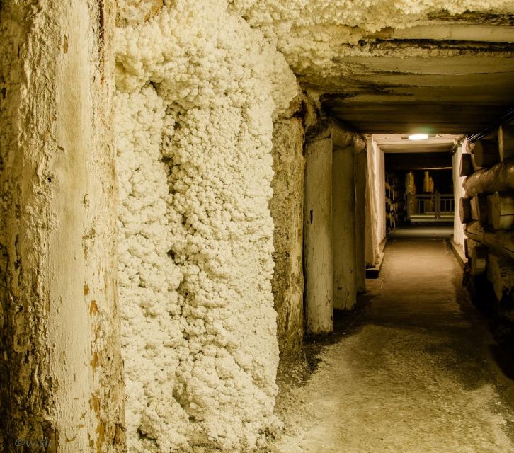Krakow: Wieliczka Salt Mine Skip-the-Line Live Guided Tour - Steps, stairs, and the elevator back up: comfort tips that matter