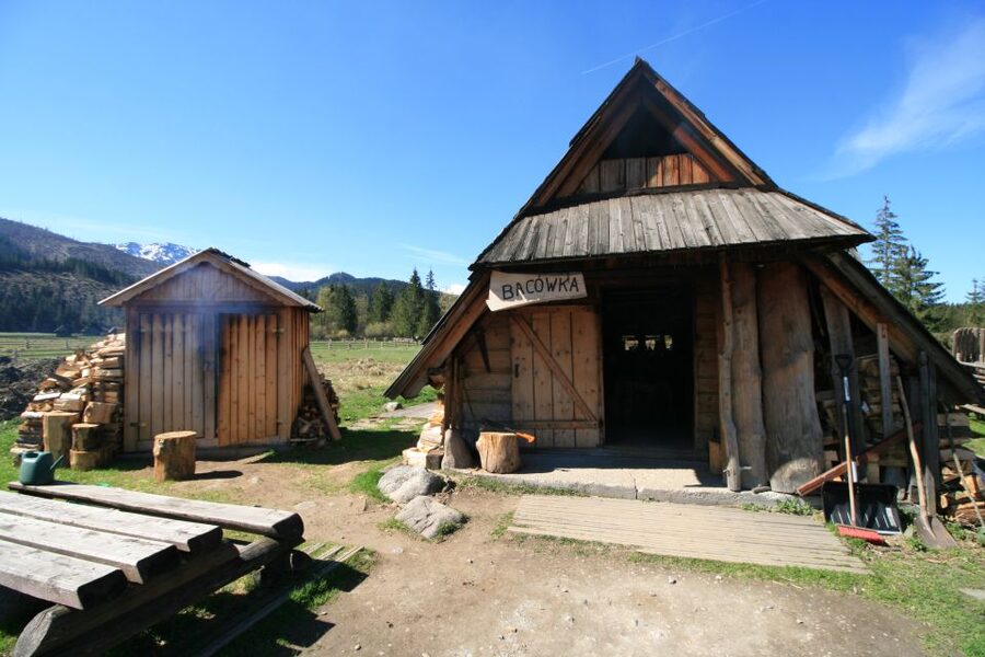 Krakow: Zakopane Day Tour with Optional Thermal Baths - A Full-Day Mix: Tatra Views, Zakopane Town, and Thermal Soak Time