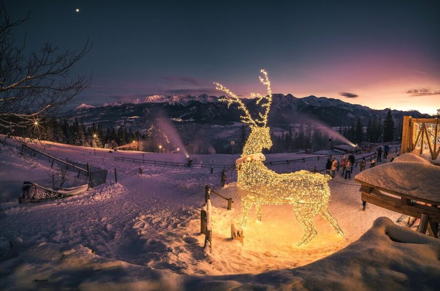 Krakow: Zakopane Tatra Mountains, Cable Car, Local Tasting - Practical Tips That Keep the Day Comfortable