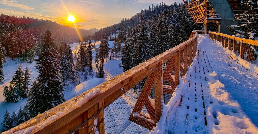 Krakow: Zakopane, Thermal Baths and Gorce Park Treetop Walk - Krakow To The Tatras Area, The Simple Way