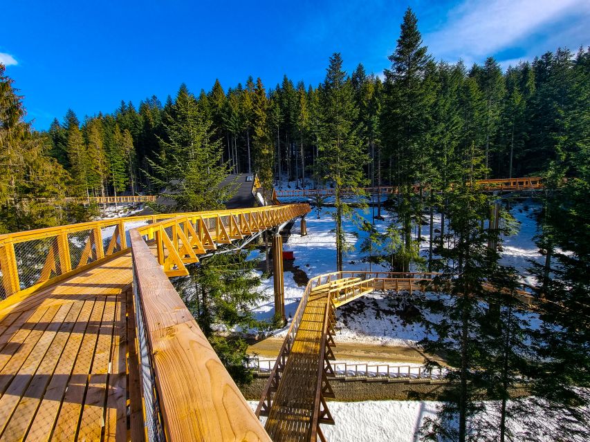 Krakow: Zakopane, Thermal Baths and Gorce Park Treetop Walk - How Small-Group Transport Changes the Whole Day
