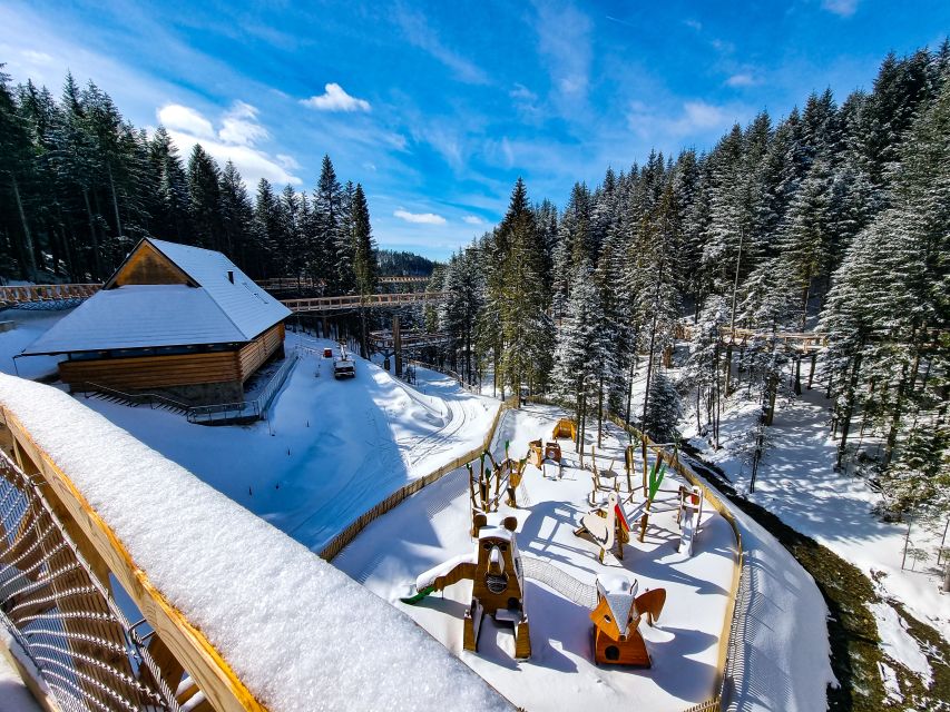 Krakow: Zakopane, Thermal Baths and Gorce Park Treetop Walk - Who This Tour Fits Best (and Who Might Want Something Else)