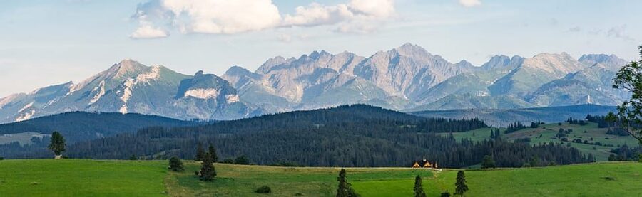 Krakow: Zakopane, Thermal Baths, Cable Car, Vodka, Oscypek - Oscypek and flavoured vodka: local flavours without the guesswork