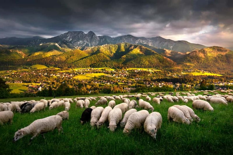 Krakow: Zakopane Trip with Thermal Pools & Hotel Pick-up - Key Points to Know Before You Go