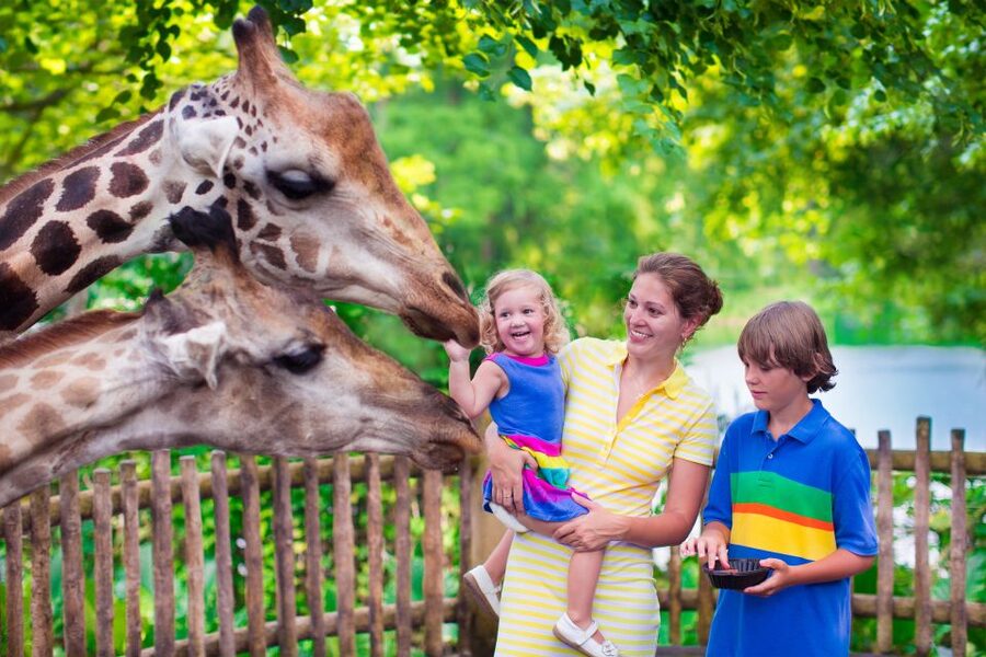 Krakow: Zoo Tour with Private Transport and Tickets - Key Points That Make This Zoo Tour Worth It