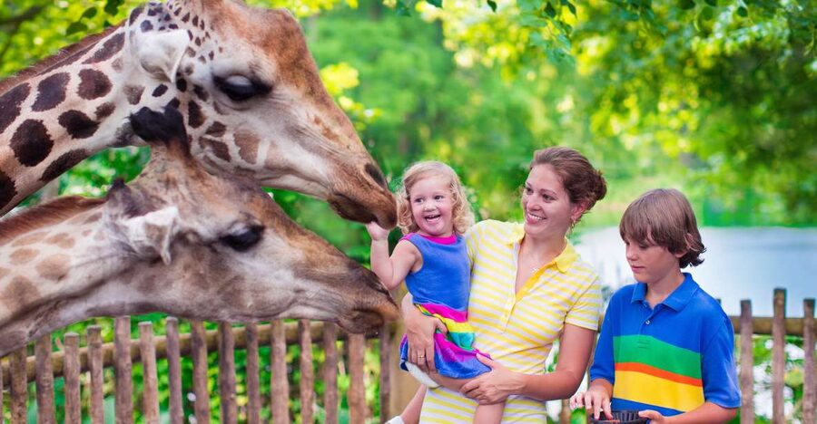 Krakow: Zoo Tour with Private Transport and Tickets - Your 3-Hour Plan: How to See More Without Burning Out