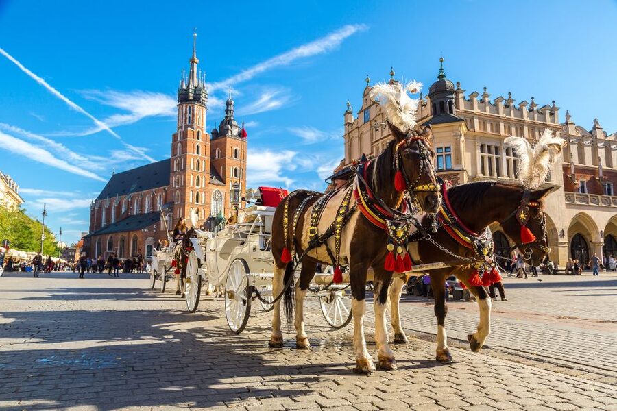Krakow: Zoo Tour with Private Transport and Tickets - Why the Zoo’s Origins Around Wawel Hill Matter