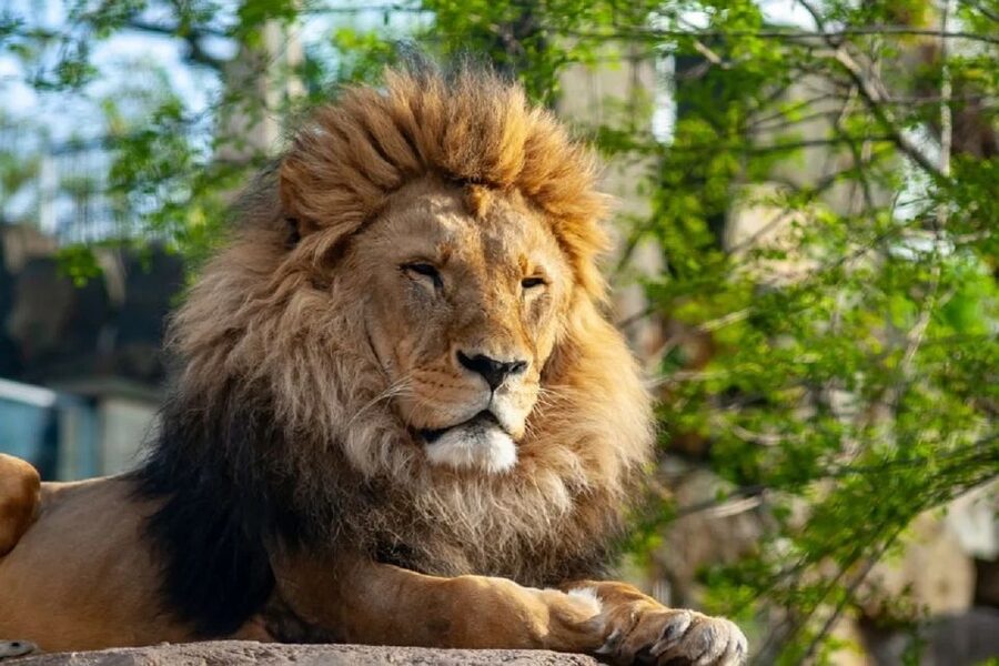 Krakow: Zoo Tour with Private Transport and Tickets - Who This Tour Suits Best