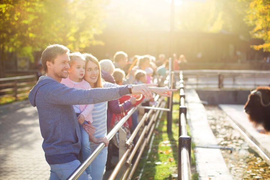 Krakow: Zoo Tour with Private Transport and Tickets - Little Things That Make the Day Run Smoothly