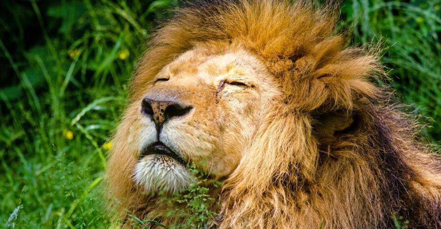 Krakow: Zoo with Hotel Pickup - Price and What You Actually Get for $56
