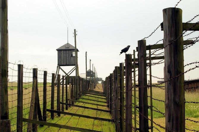 Lublin and Majdanek Small Group Tour from Warsaw with Lunch - Should you book Lublin and Majdanek from Warsaw?
