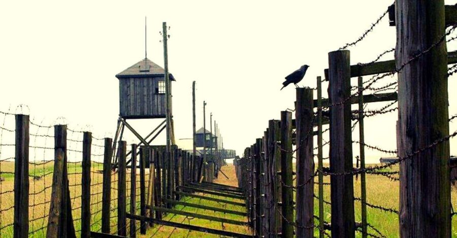Lublin & Majdanek Small-Group Tour from Warsaw with Lunch - From Warsaw to Majdanek: the drive that sets the tone
