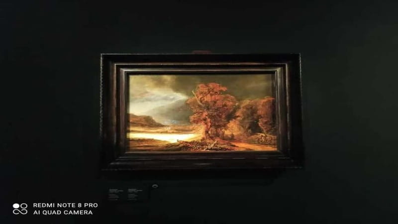 Museo Czartorisky : Visita in Lingua Italiana salta fila… - Entering the Czartoryski Museum without the ticket-line headache