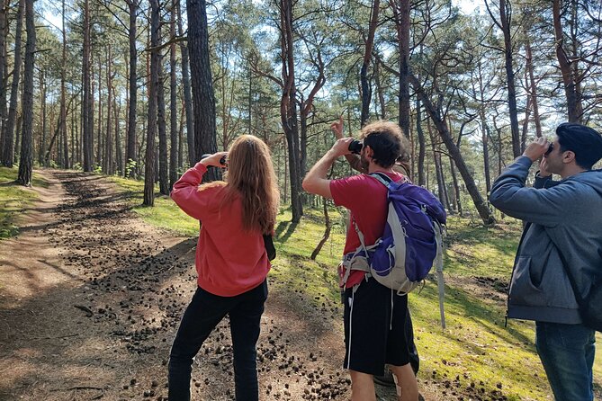 Nature Walk and Wildlife Tour in Sobieszewo Island - Key things to look forward to