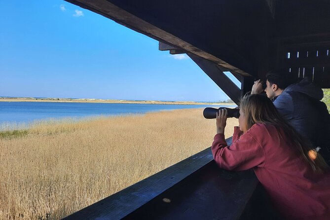 Nature Walk and Wildlife Tour in Sobieszewo Island - Meeting at 9:30 and how the 3 to 4 hour rhythm feels