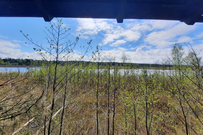 Nature Walk and Wildlife Tour in Sobieszewo Island - Stop 3: Znak Ptasi Raj bench break, a short rest that helps your eyes