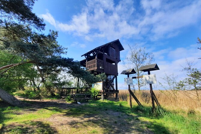 Nature Walk and Wildlife Tour in Sobieszewo Island - Price and value: is $67.43 per person a fair deal?
